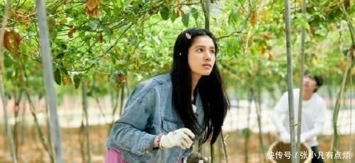 变动|《向往4》播出时间变动,节目组发文公开道歉,观众恐怕要熬夜了