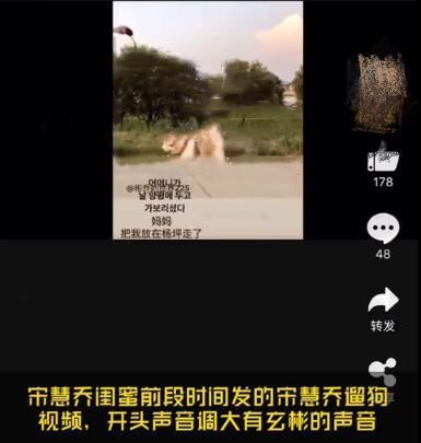  女方|世纪复合成真？宋慧乔玄彬被曝深夜约会，女方遛狗视频也有玄机