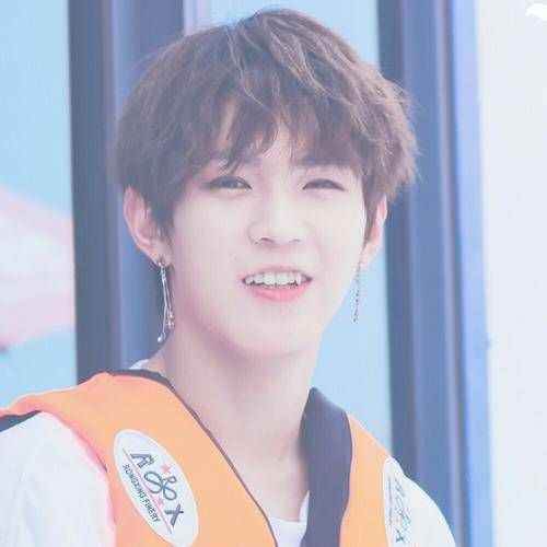  参加过|少年之名是“回锅肉”大本营！李希侃热度高，却改变不了糊综事实