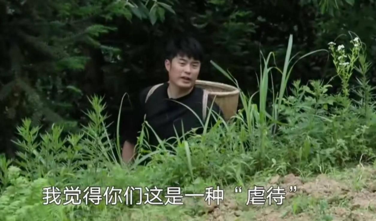 对待|《向往》他不满黄磊差别对待连催10次鹿晗去干活,原因却很暖心