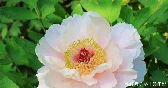 有钱|不花心的3生肖男,一辈子只爱老婆,有钱用来养家从不变坏