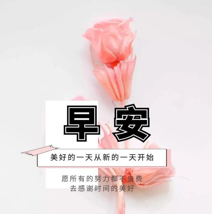 早安|温馨的早上好问候语动态鲜花图片带字 最美早安问候温馨图片带字