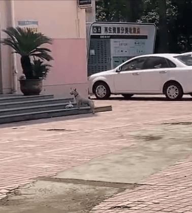  相机|老师，求求你别再用全景相机拍照了…笑趴了哈哈哈哈哈哈哈