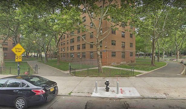 女子|美国女子听从区长建议,制止非法燃放烟花,三天后遭报复枪击身亡