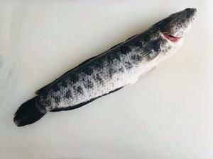 肉丸子|不加水不加淀粉~鱼肉丸子~