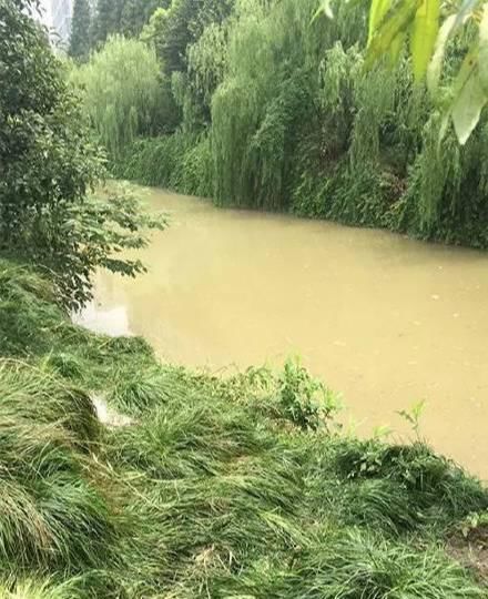 醉酒|可悲可叹！著名主持人佟瑶醉酒后在路边“方便”，不幸坠河死亡