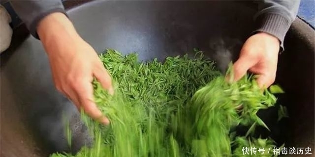 沩山毛尖|什么,你说黑茶里也有毛尖?