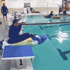 GIF|搞笑GIF：我怎么说晚上突然就黑了呢，原来是跑你这来了