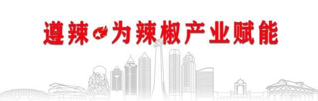 新华社|新华社：“搬”出来的复垦复绿