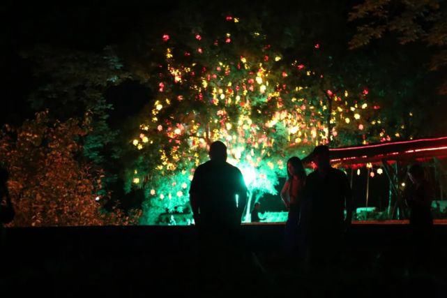  教师|陕州地坑院|夜游地坑院，体验不同精彩！