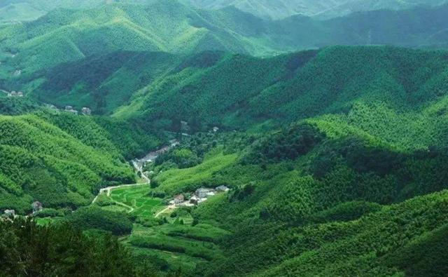  日出|莫干山，我国四大避暑圣地之一，邀请你一起看日出啊