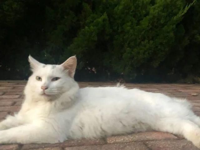 师大人|亲,好久不见