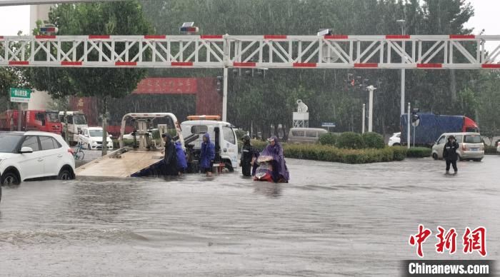 倒伏|强降雨致河南漯河城市内涝、树木倒伏严重