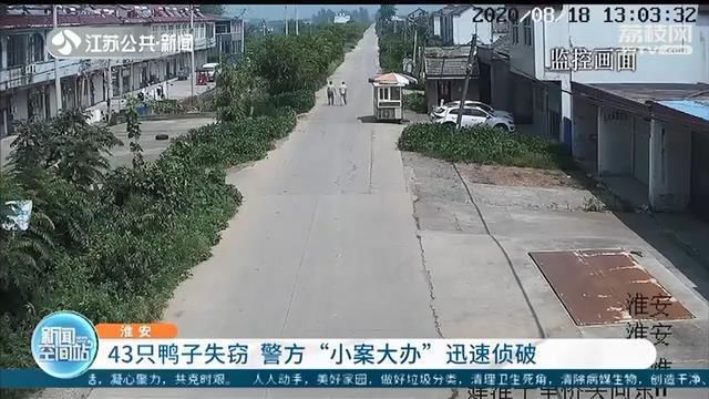 小案|兄弟俩临时起意偷了农户43只鸭子 警方“小案大办”迅速侦破