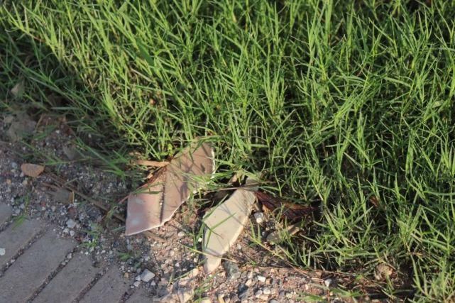  小时|男子撞人致死后逃逸，民警凭车身碎片11小时锁定真凶