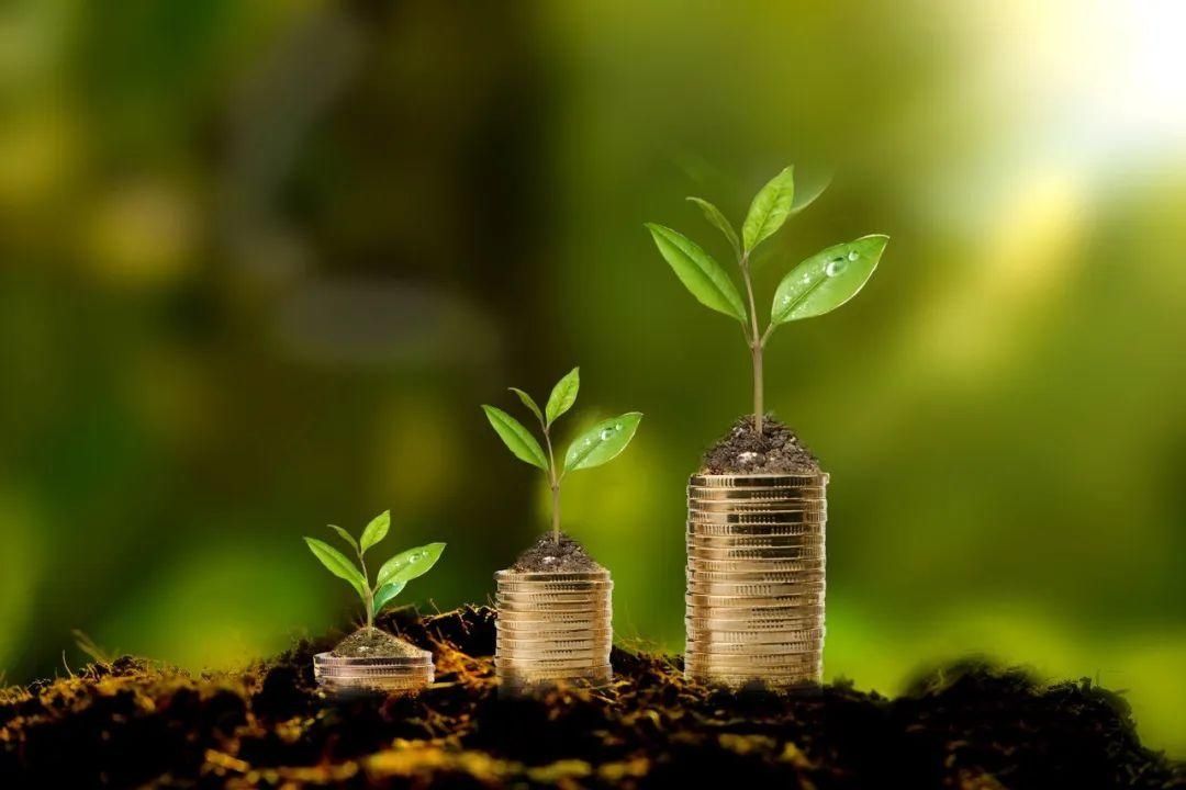 购房|购房资格审批,中介可以帮你“硬过”?“猫腻”是这样的……|今晚九点半