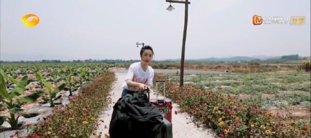  真的|周迅吃2碗饭不怕胖，宋威龙助薇娅卖水果，半小时卖570万元真的吗