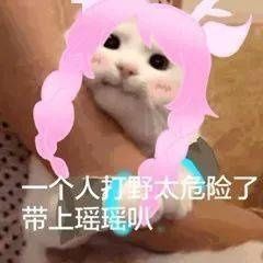 最全|王者荣耀系列表情包（全网最全合集）