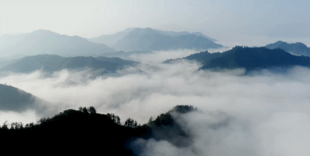 屏幕|舌尖上的浙江来了，各地美食让你隔着屏幕咽口水～