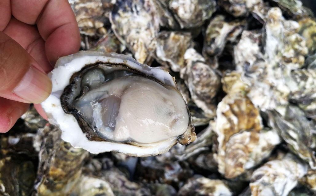 海鲜|酒店带鱼268一斤,菜市场便宜只要15,梭子蟹长大点50一斤