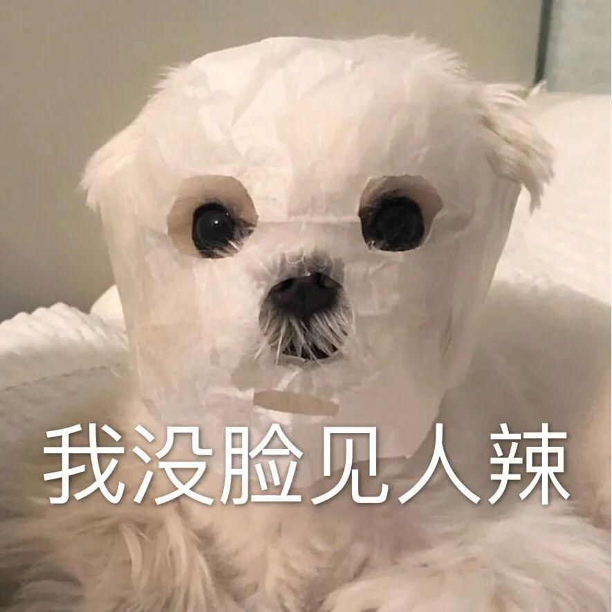  潘玮柏|E句话看天下丨于正出一个热搜操作教程吧！