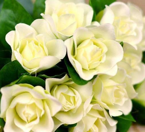 好运|哪些日子出生的人,命好运旺,得老天厚爱,做啥事都顺利