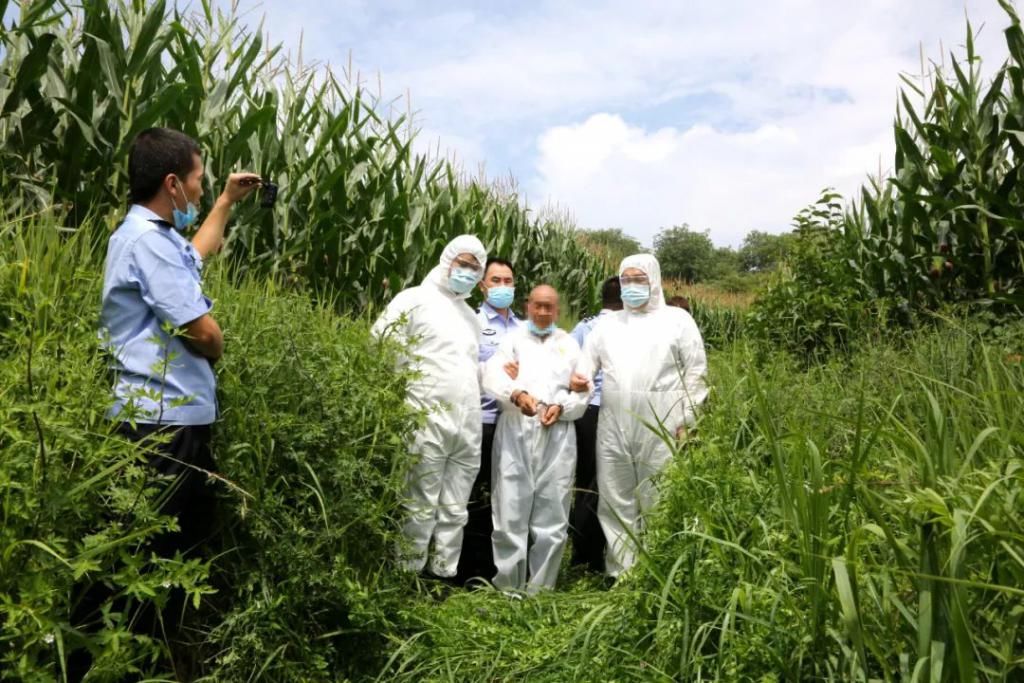  妻子|山西离奇杀人案破了！尸骨被埋30年，凶手中竟有受害人的妻子
