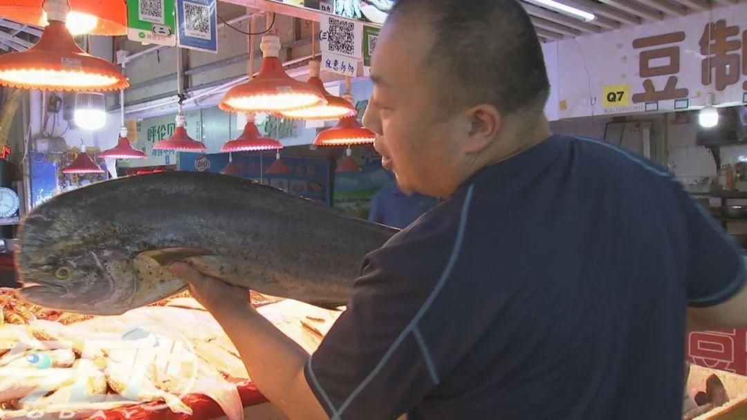 海鲜|青岛海鲜市场现大鱼!这么多海鲜,你最爱哪个?
