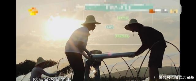 揭开|岳云鹏成《向往4》最“懒”嘉宾,却意外揭开节目的“遮羞布”