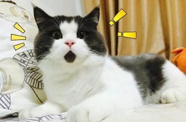  截肢|男子险被截肢，凶手竟是一条鱼！只因忽视了…