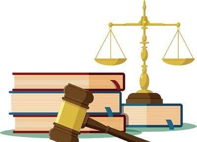  法律|宠物被“拎走”，看看法律怎么说