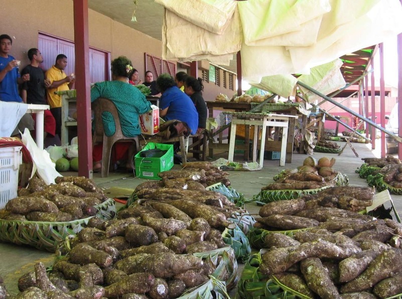 欠债|欠债不还还道德绑架要求我国免除1亿债务，本国人却免费医疗