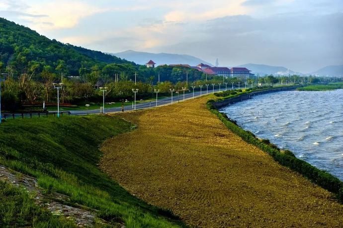  宜兴|打造全国最干净城市｜这些路，美出天际！