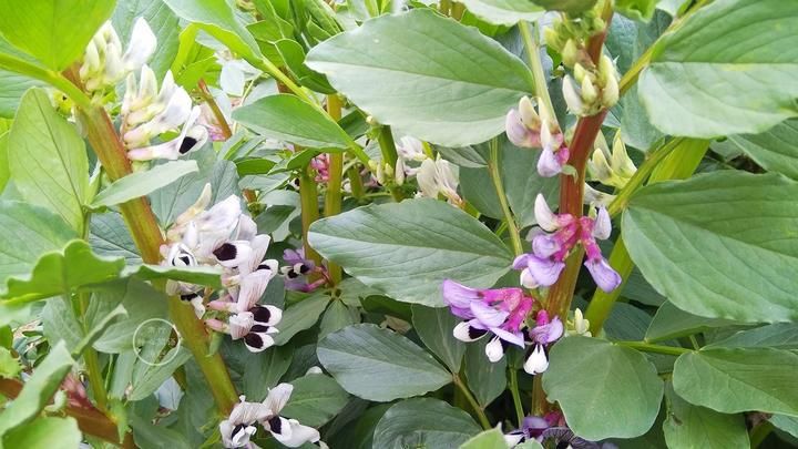 人品|做人是做事的根本，而做事能展示出人品