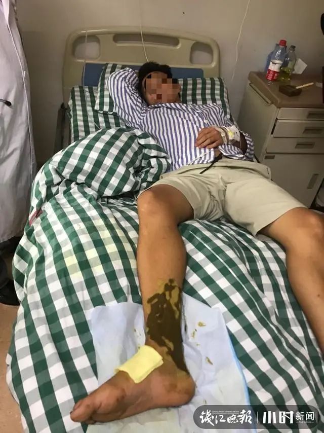  中心|杭州市中心公厕边，出现两条蟒蛇！消防员紧急出动