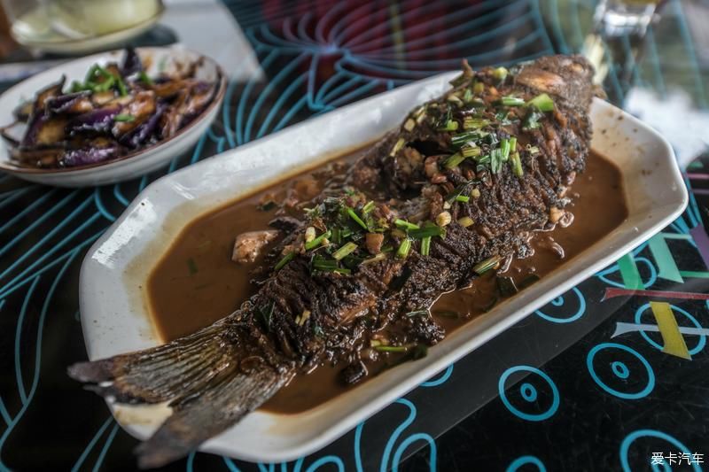  风光|畅游杭州杨梅岭，体验新颖的农家生活