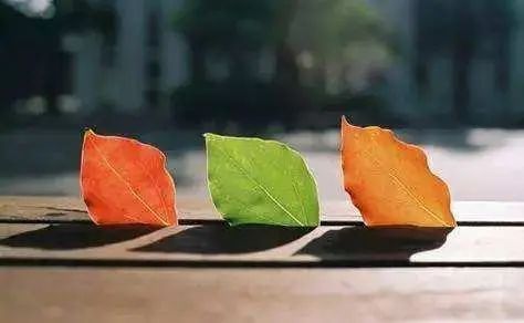 双色球|享受你的双色球乐趣，从掌握这几点开始