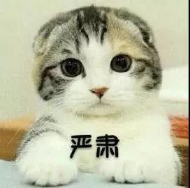  刑拘|幼童被遗留校车内致死，3人被刑拘！