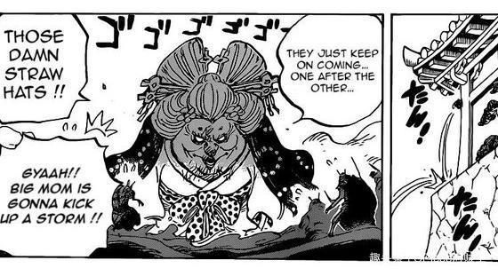 海贼王|海贼王989:草帽团全员集合,大妈开出皇籍,甚平顶替山治的站位