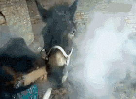 搞笑|搞笑GIF：姑娘跳水，看着就疼