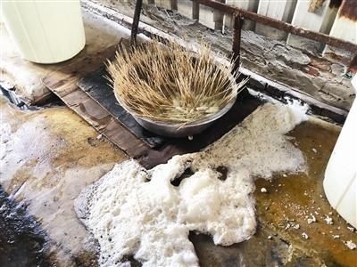  保护|废墟打掩护 大狗做保护 看着这么恶心吃着怎能放心