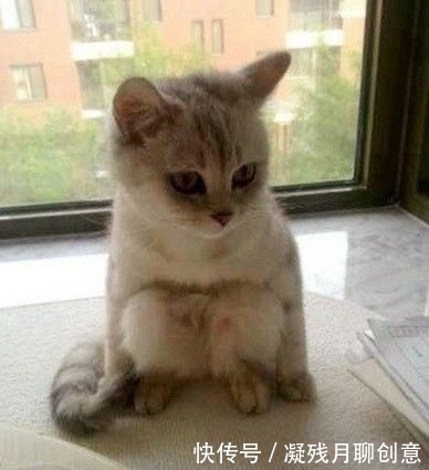 嫌弃|妹子，别光顾着臭美拍照了，瞧身后大哥嫌弃的表情，真是尴尬