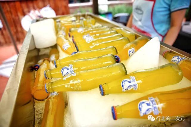 快乐|北冰洋回来了,你的快乐回来了吗?