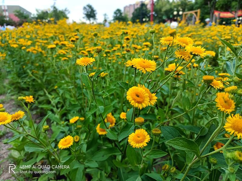  评测|打响5G手机平价第一枪 realme真我V5体验评测