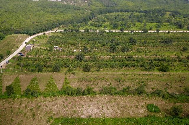 着眼|着眼长远 秀外慧中——北京冬奥工程烙印“美丽中国”底色