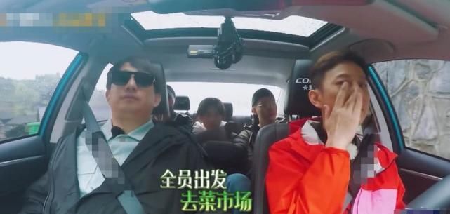  外出|《向往的生活》：为什么每次外出都是何炅开车？真实原因让人心疼