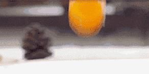  神仙|这是什么神仙蛋黄酥？Q弹拉丝，软糯香甜，小心对它念念不忘哦