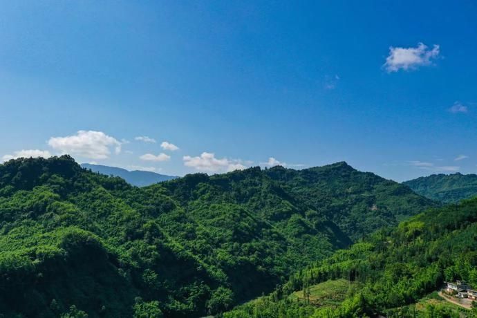  张家沟|阅读雨城丨寻茶张家沟