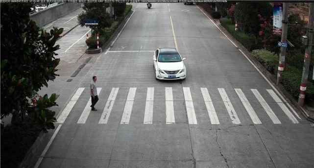 驾驶机动车违反道路|泰顺这些车主被曝光！