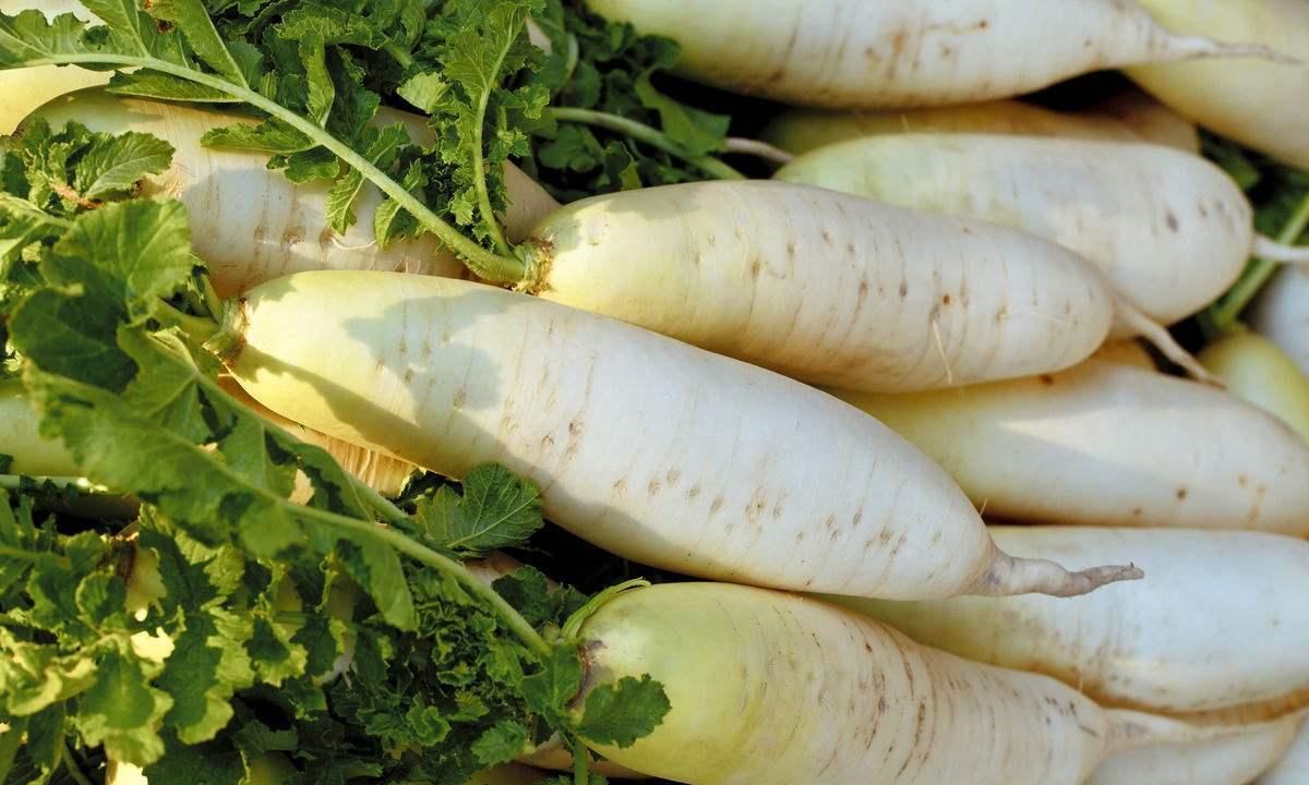 冬虫夏草|吃冬虫夏草，搭配错了等于白吃，搭配对了功效翻倍！